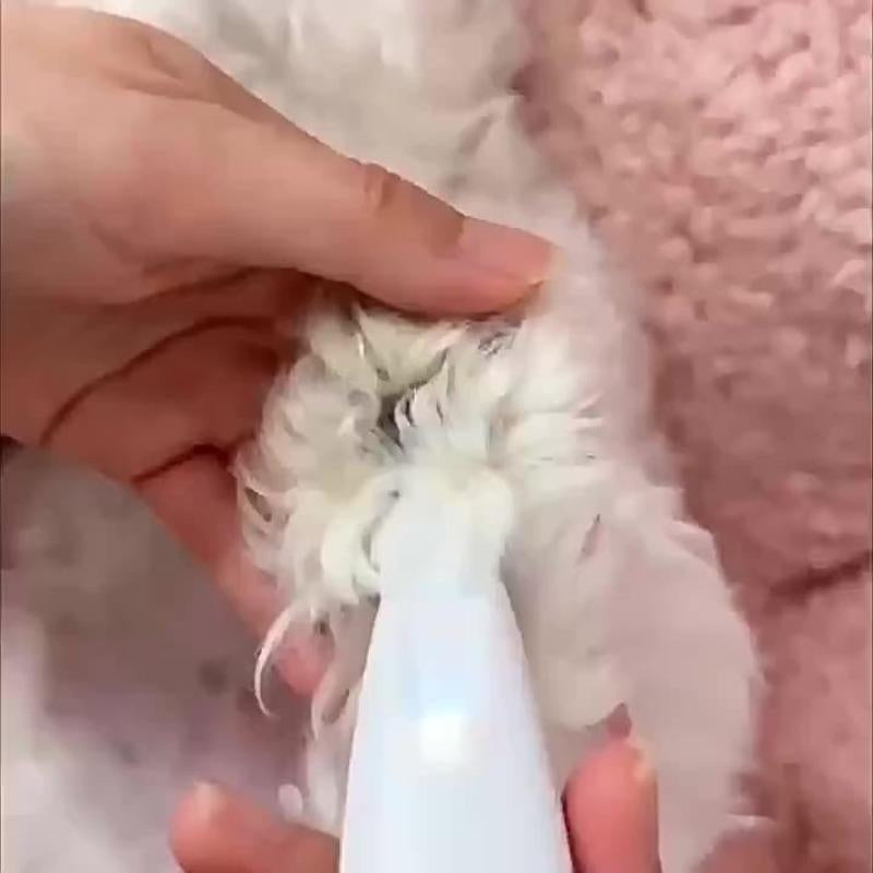 Rechargeable Pet Hair Trimmer Kit, Pet Paw Trimmer, Cordless Quiet Dog Trimmer for Grooming with LED Light, Small Dog Grooming Clippers for Dogs & Cats, Pet Grooming Tool,Waterproof, Low Noise Pet Shaver